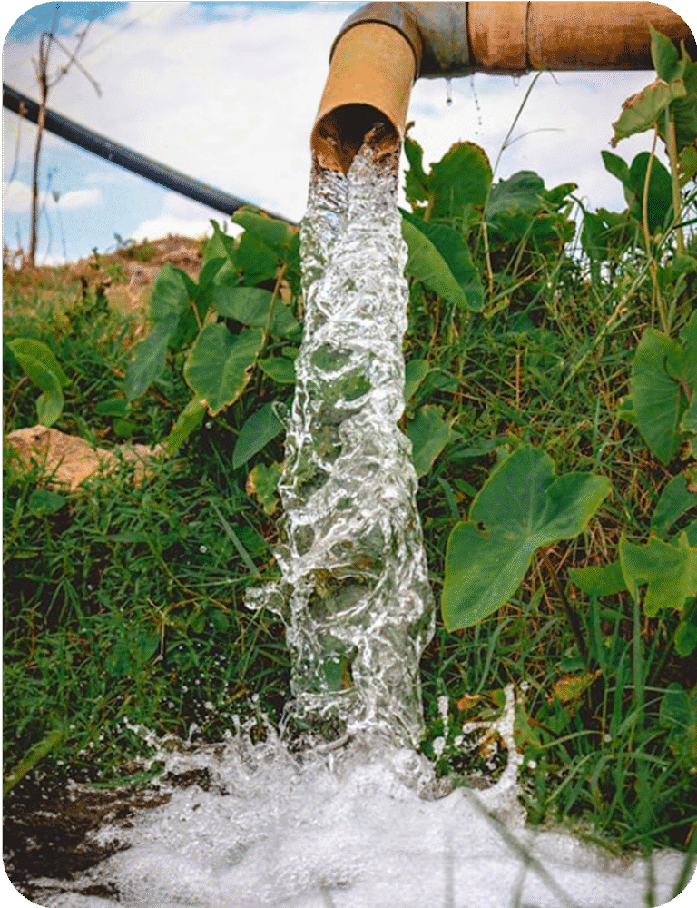 pandawaragroup_362846123_673106157532938_2437421620842899448_n